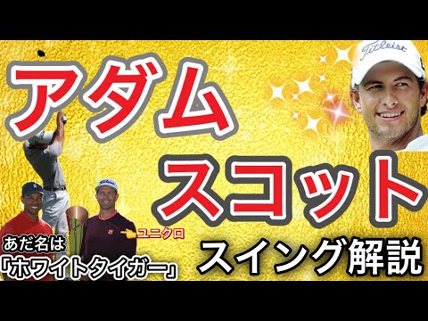 【アダムスコット】世界一綺麗なスイング解説！ゴルフ界ナンバーワンイケメン！