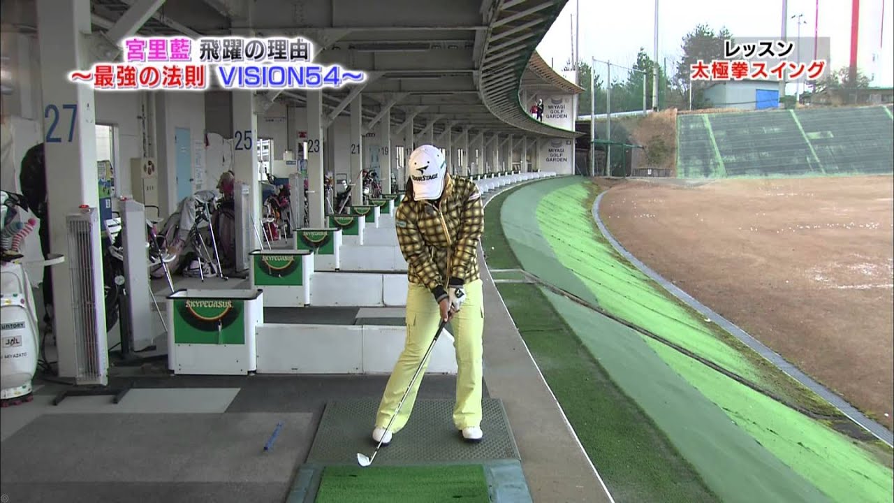 宮里藍 太極拳スイング