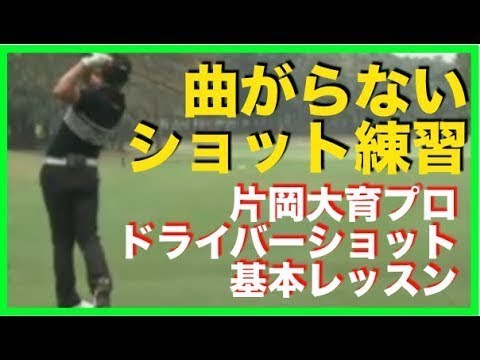 片岡大育　NEWドライバーインプレッション