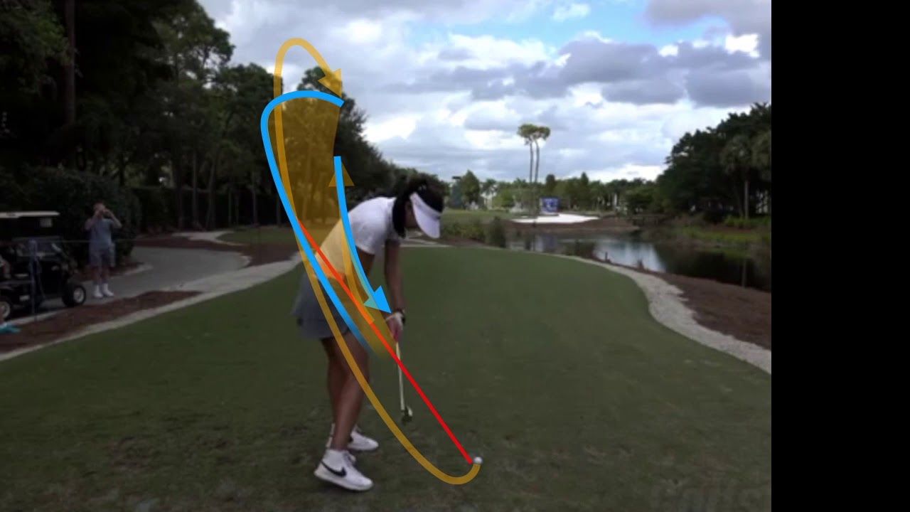 MICHELLE WIE のスイングプレーン(DTL)