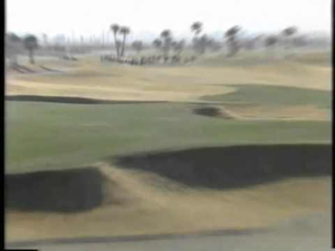 岡本綾子 ドライバー スイング