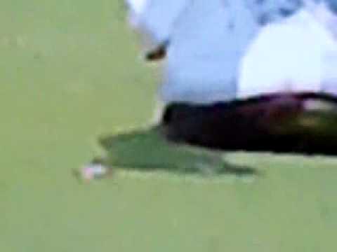 アン•ソンジュのありえへん光景(-_-#) ﾋﾟｸｯ