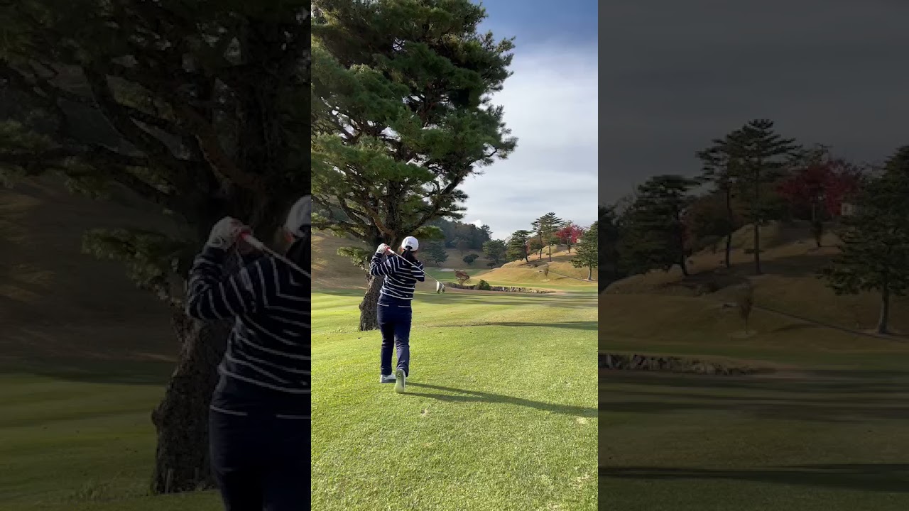 横峯さくら　ウッドショット【重大発表】あり概要欄へ　#shorts #golf #ゴルフ #ゴルフ女子 #ゴルフスイング ＃QT＃横峯さくら