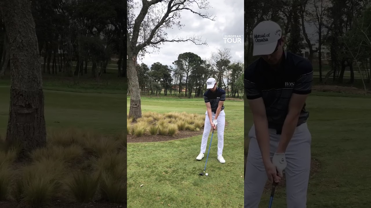 HENRIK STENSON SWING IMPRESSION / IMPERSONATION