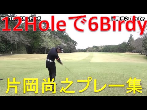 ジャパンプレーヤーズチャンピオンシップの覇者・片岡尚之のプレーまとめ2／3【Sho Time Golf切り抜き動画】