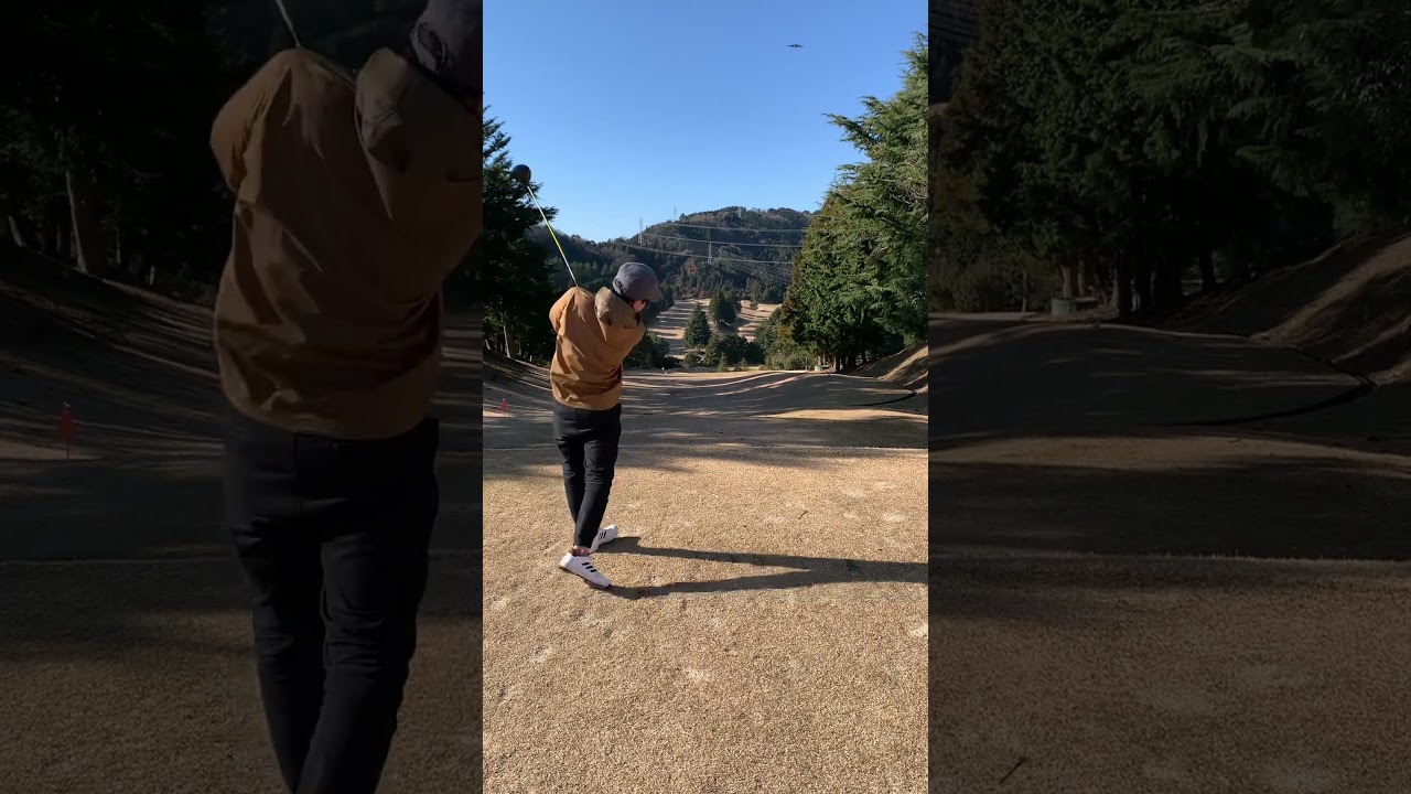 今日のざわくん#shorts #golf #タナティチャンネル