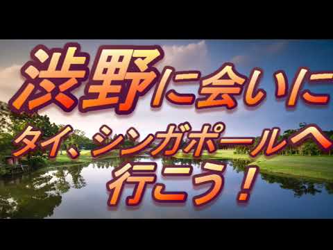 渋野日向子　タイ　シンガポール　に会いに行こう　＃ホンダＬＰＧＡ　＃HSBC女子世界選手権