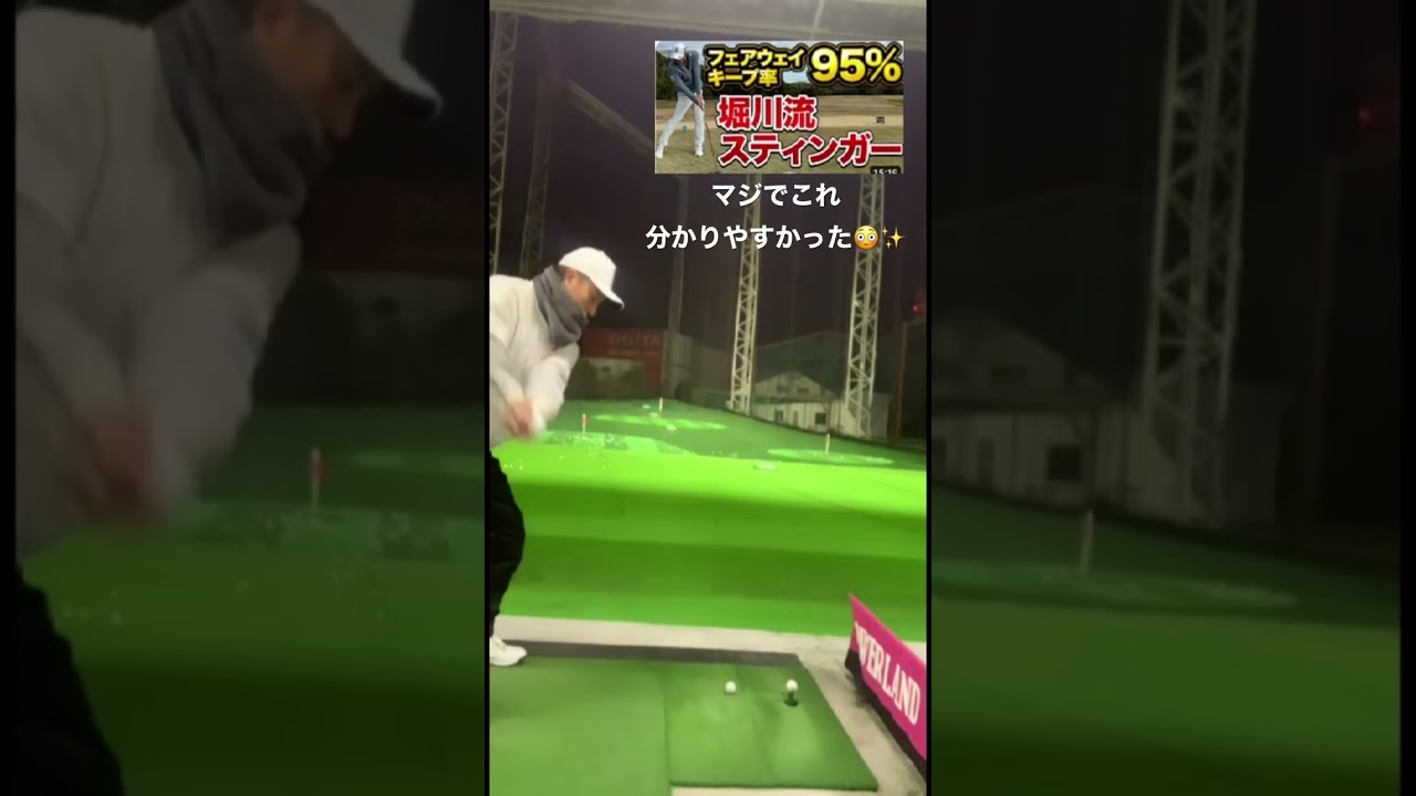 堀川未来夢スティンガー動画マジ分かりやすかった🎶