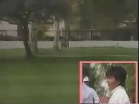 岡本綾子のスイング