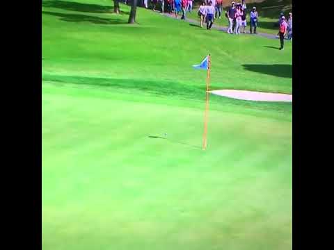 有村智恵　ベタピン　サントリーレディース