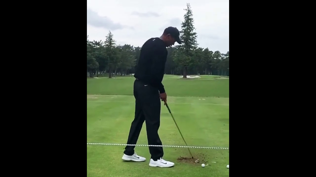 【ZOZO】タイガーウッズのスティンガーショットとハイボールショット