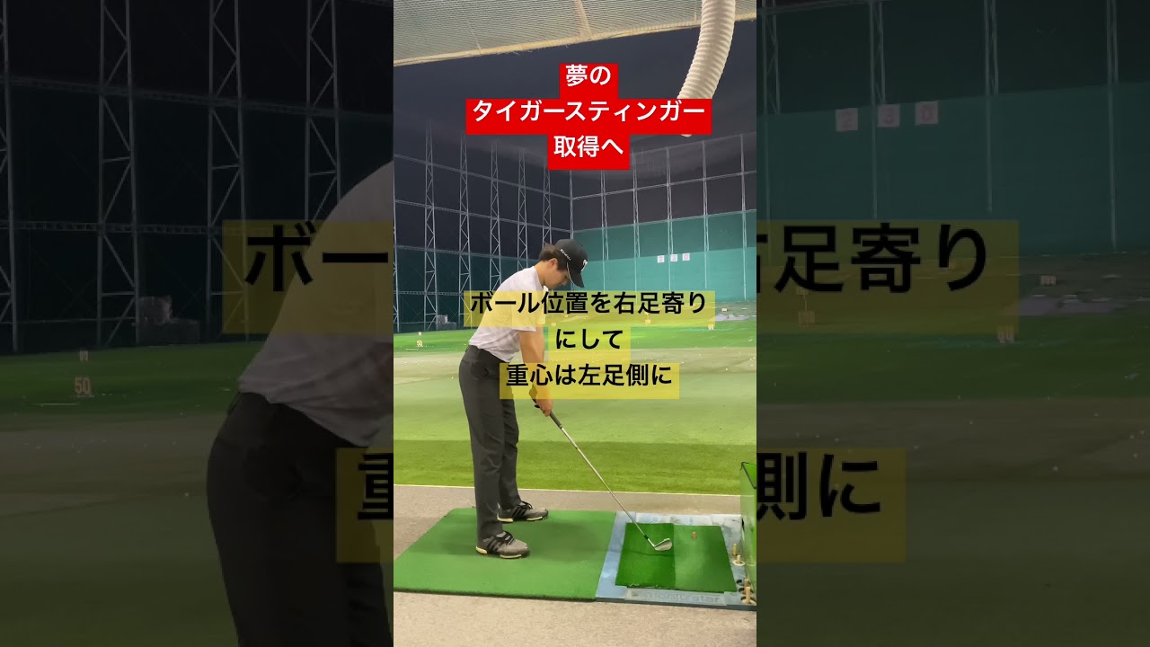 【スティンガーショット】タイガーウッズの技極める#golf #tigerwoods #タイガーウッズ #ゴルフ #shorts