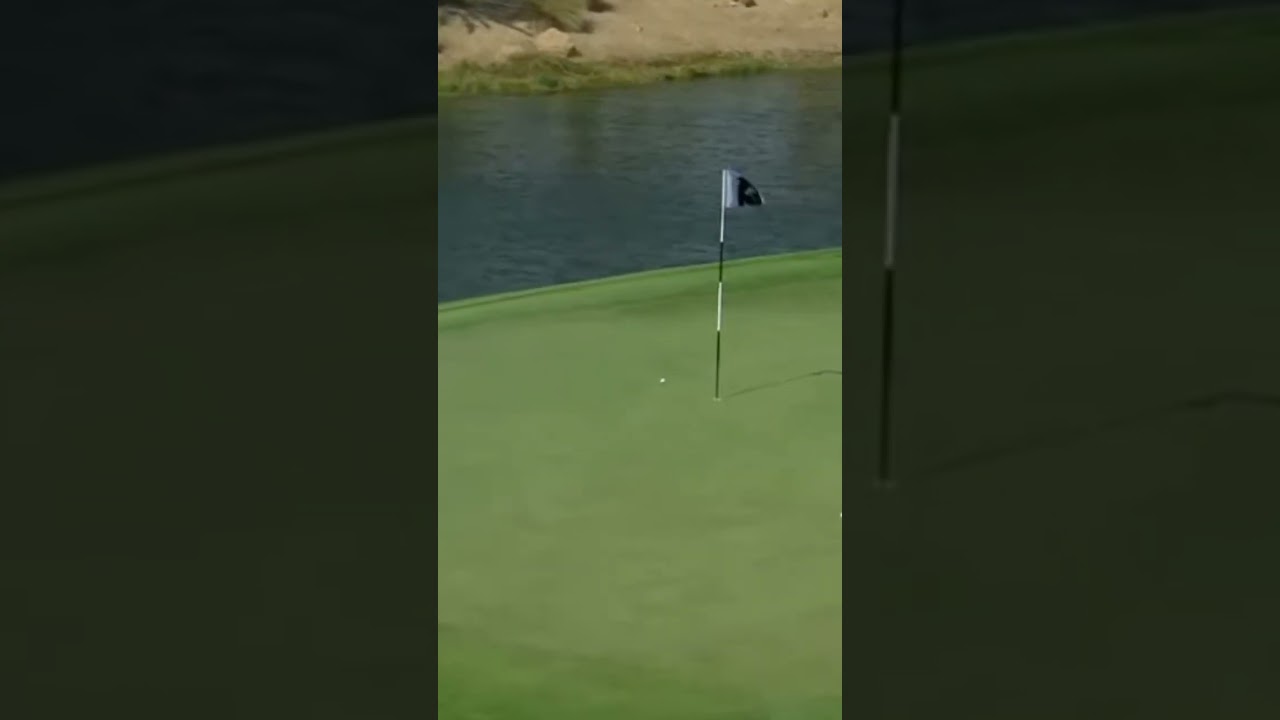 Martin Kaymer All Over It! #viral #shorts #livgolf #golf