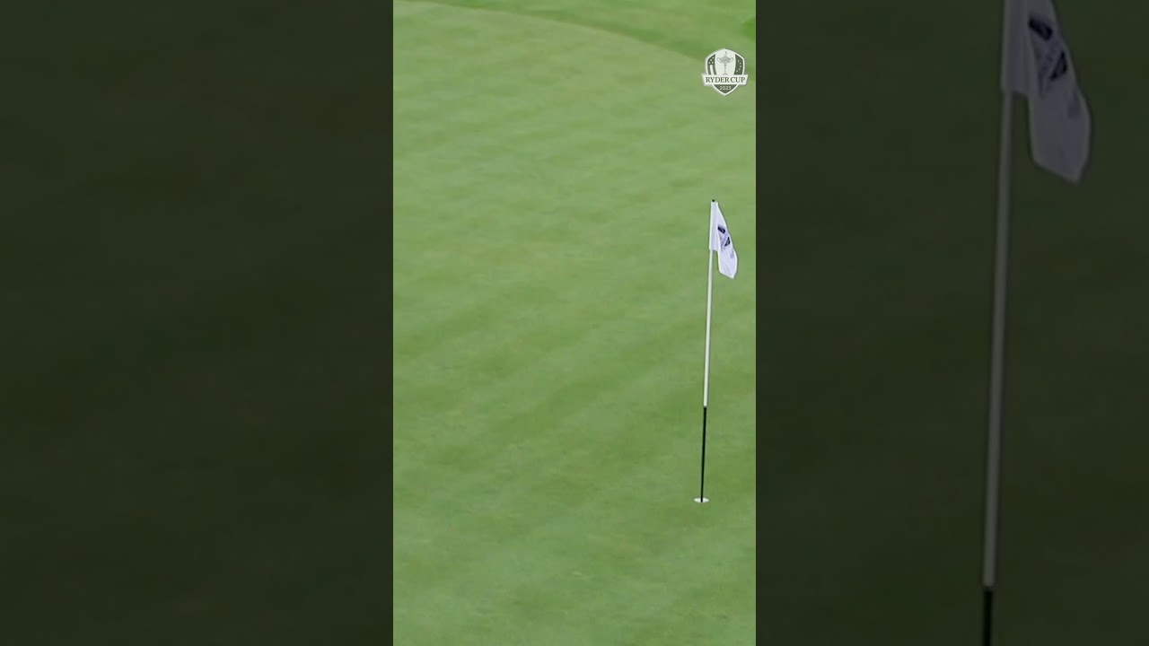 Kaymer close from bushes