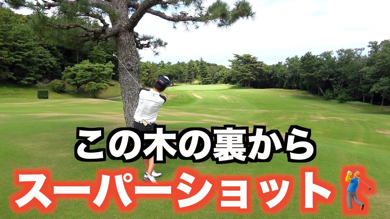 木の真後ろからスーパースティンガーショット！ #ゴルフ #ゴルフラウンド