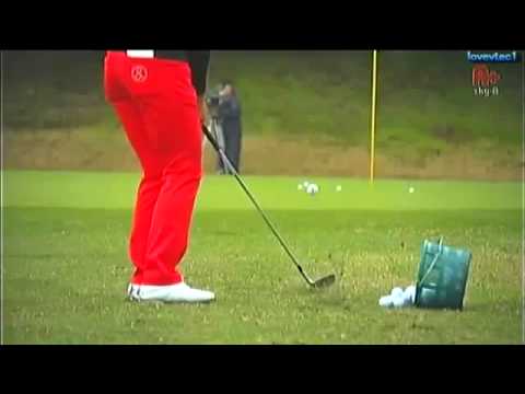 森田理香子　アプローチ