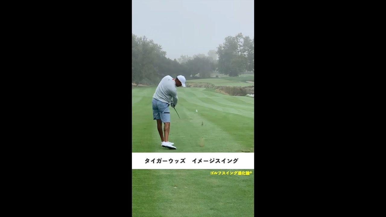 【イメージスイング】タイガーウッズ編【田渕信行/ゴルフスイング進化論】