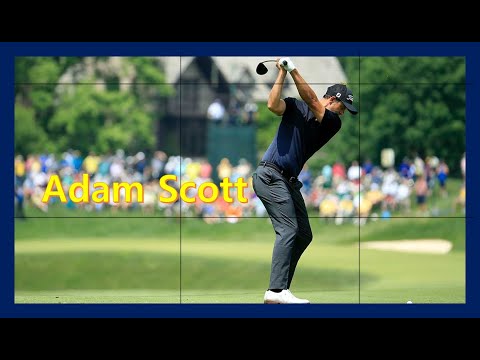 Adam Scott Golf Swing Iron, Wood3, Driver (DTL& FO) Slow-Motion 2019-2020アダムスコットゴルフスイングドライバースローモーション