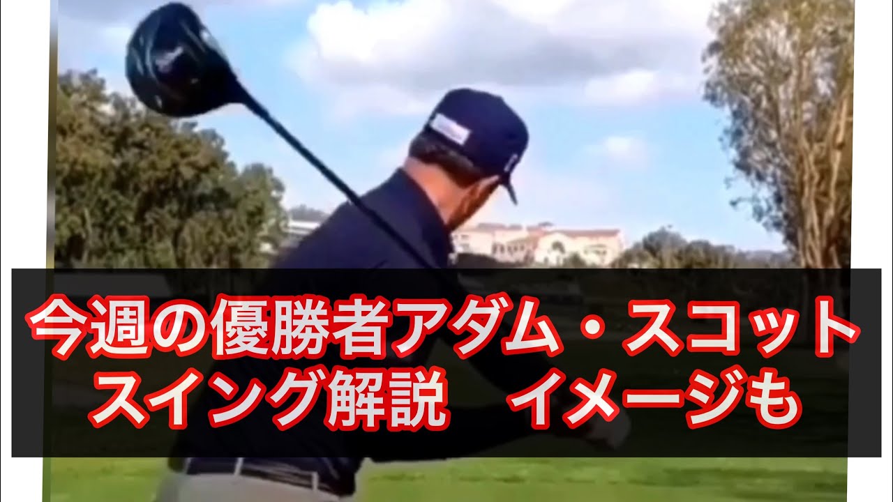 今週の優勝者アダムスコットのスイング解説　スイングイメージもあります　シャロヒンゴルフ　川村洋介　ゴルフのコツ
