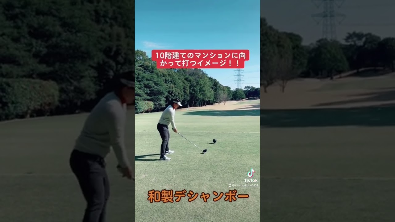 和製デシャンボー