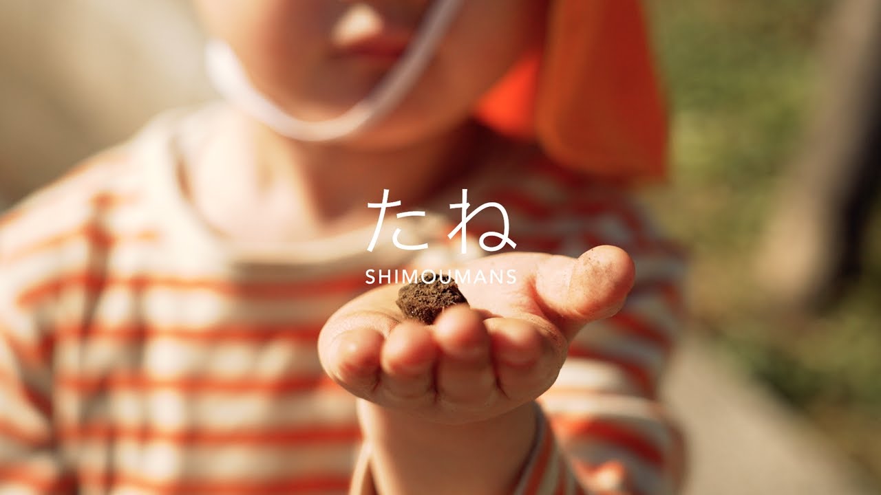 シモウマンズ 『たね』 Music Video