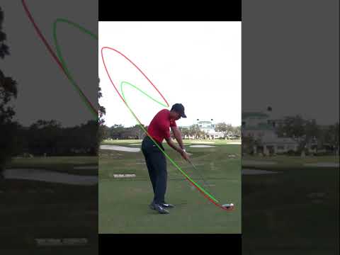 タイガーウッズドライバヘッド軌道