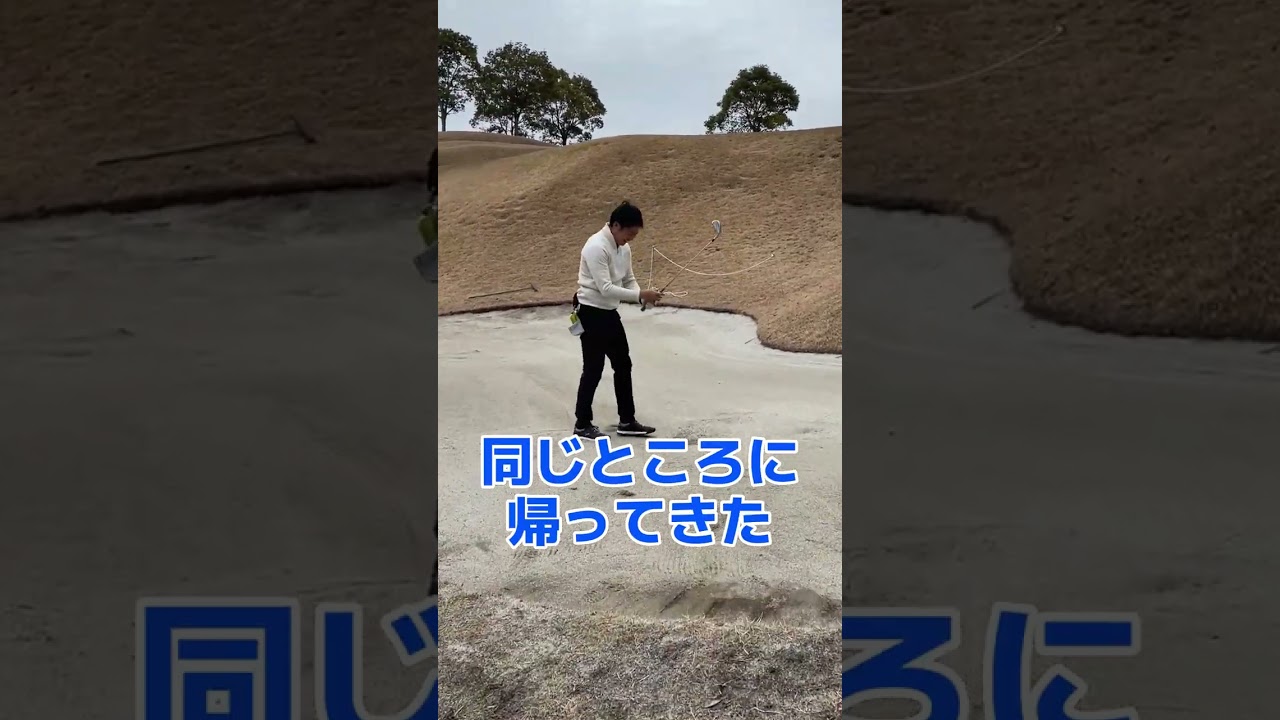 日本一アゴの高いバンカーからの脱出 #shorts #ゴルフ #バンカー