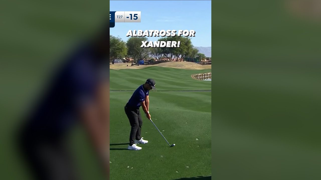 What would you rather have: ace or albatross?