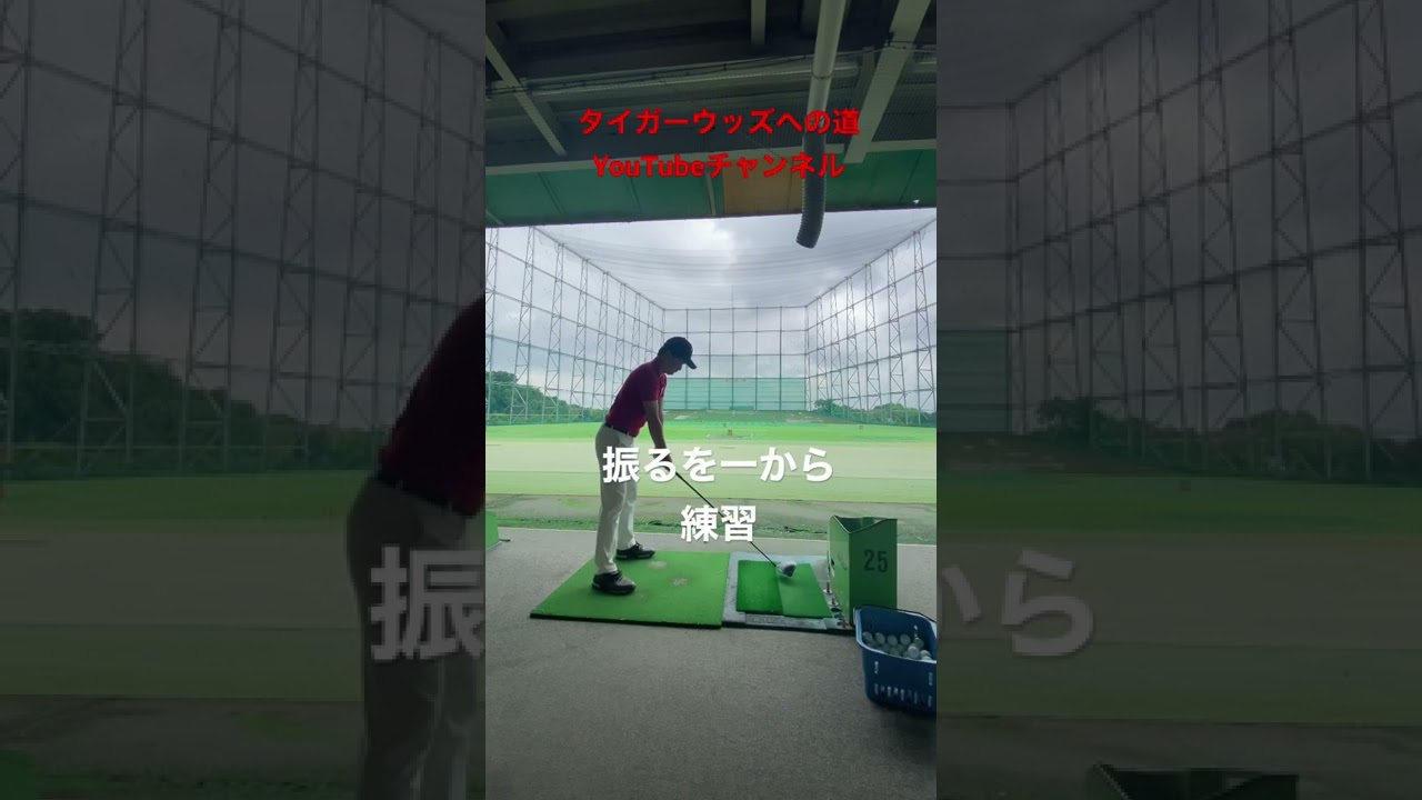 タイガーウッズへの道#golf #tigerwoods #ゴルフ #ゴルフレッスン #ゴルフスイング #タイガーウッズ #タイガーウッズへの道