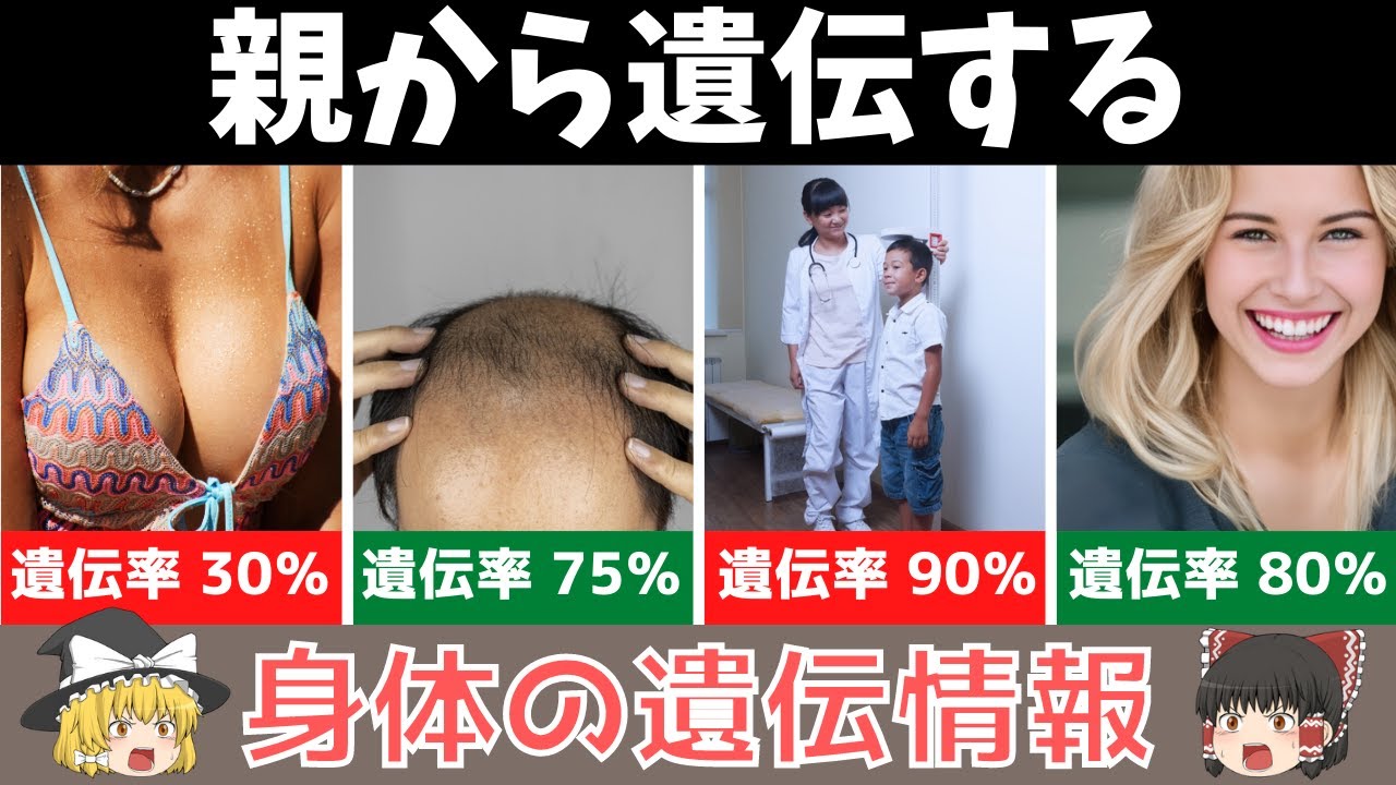 【ゆっくり解説】親から遺伝する身体的特徴7選　【身体の雑学】