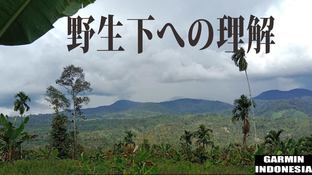 野生下への理解