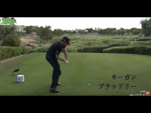 プロゴルファーたちの様々なゴルフスイング