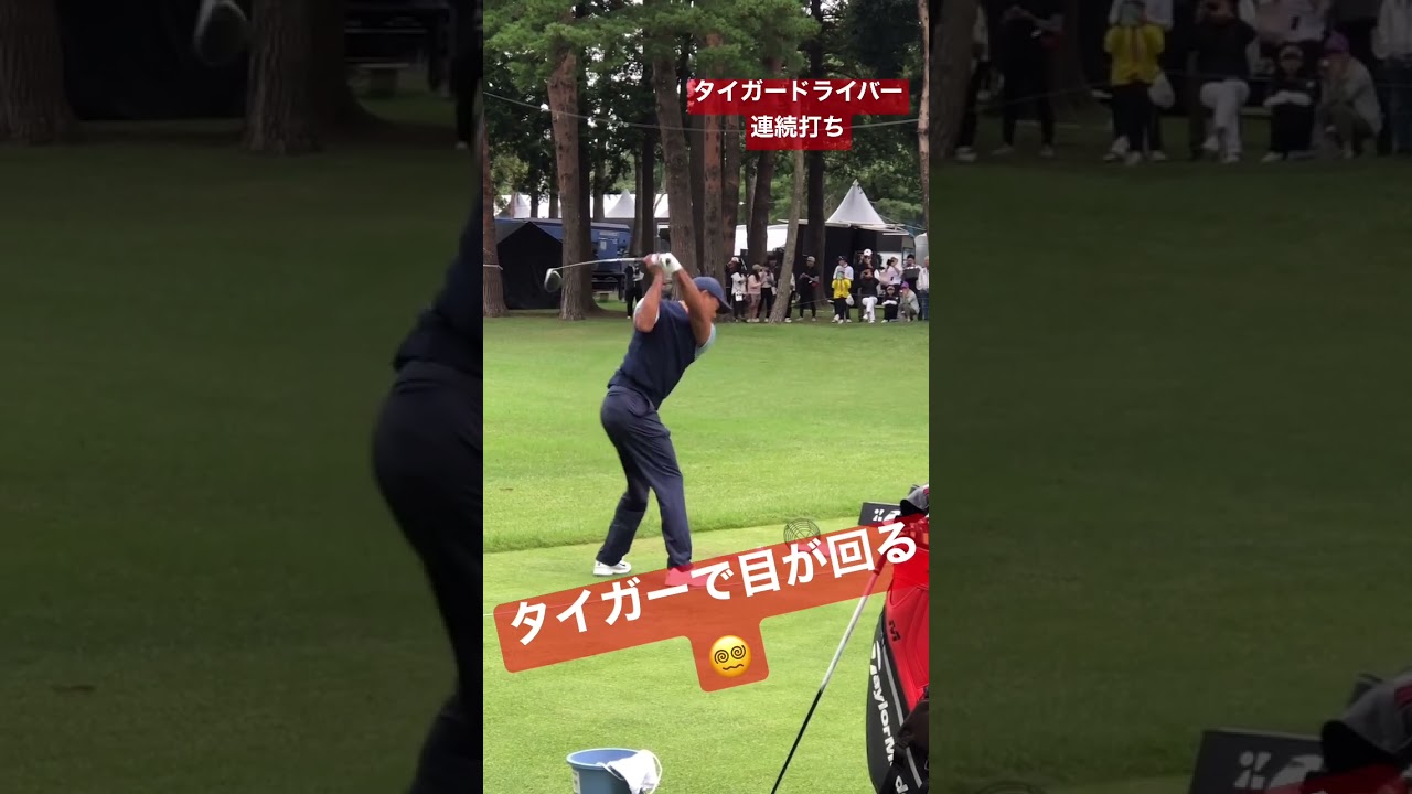 タイガーウッズ  ドライバー連続打ち  #shorts #タイガーウッズ #ドライバーショット