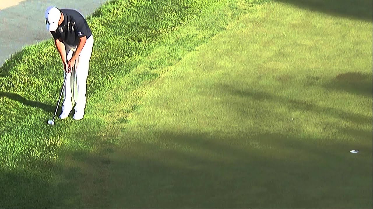 パティング・チップ　　　ジャスティン・ローズ編