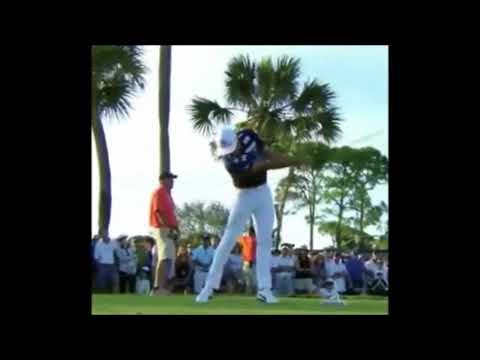 リッキーファウラーの強振打法　解説