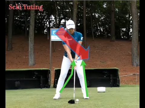 Typical ground reaction forces・Seki Yuting