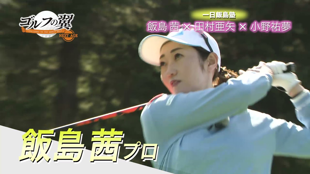 ゴルフの翼NEXTAGE　総集編～再放送～