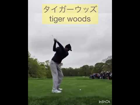 タイガーウッズのグリップエンド軌道アイアン後方スロー