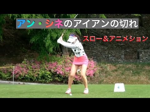 アン・シネのアイアンの切れ (スロ-＆アニメ)
