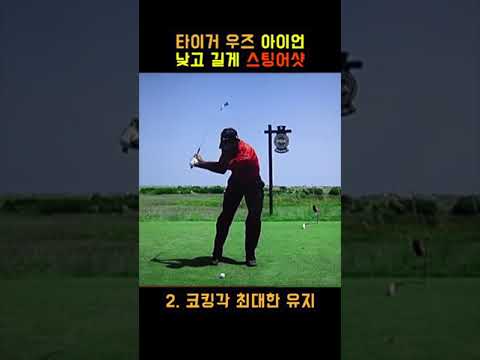 필드에서 유용한 🔥 타이거 우즈 아이언 스팅어샷🏌️‍♂️💯 #shorts Golf Swing