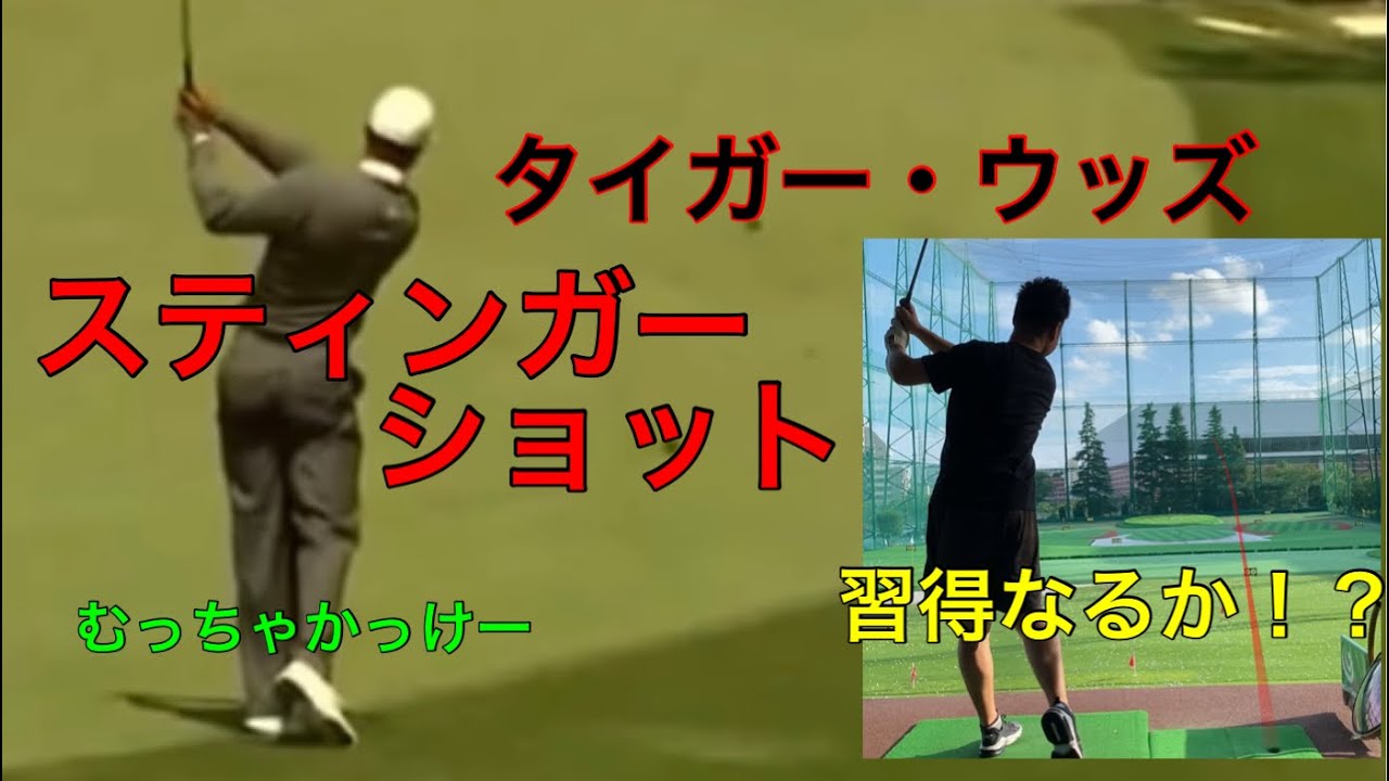タイガー・ウッズ【スティンガーショット】挑戦してみた