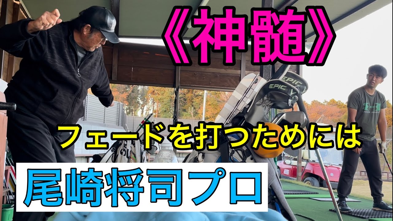 《神髄》高くて遠くだから引きつけられる❗️ 新トレーニングクラブ