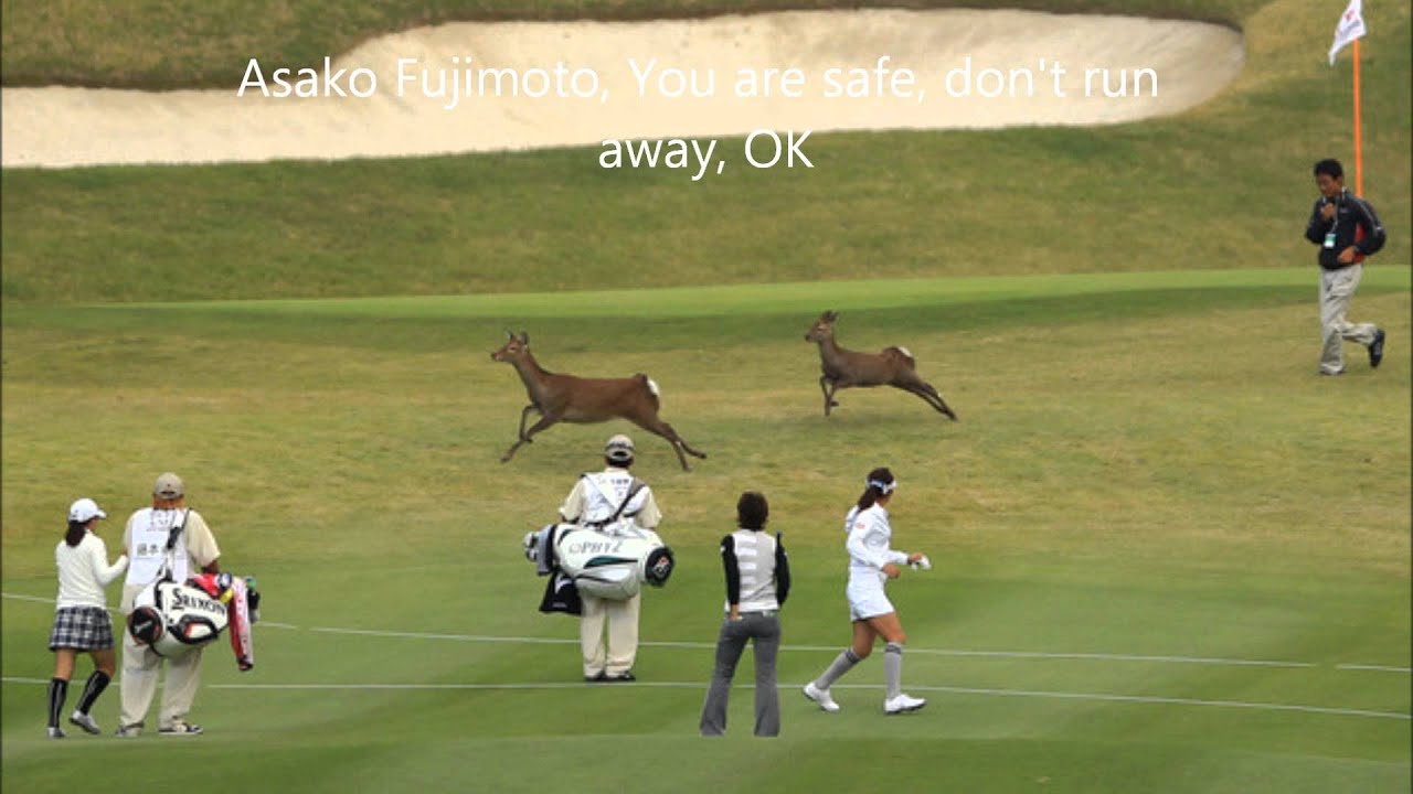 2012 森永ウイダー 樋口久子 レディース