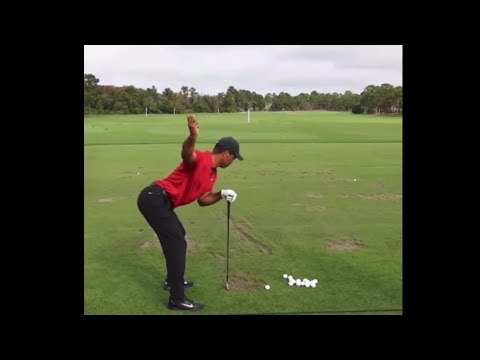 変態な練習ドリル　タイガーウッズ