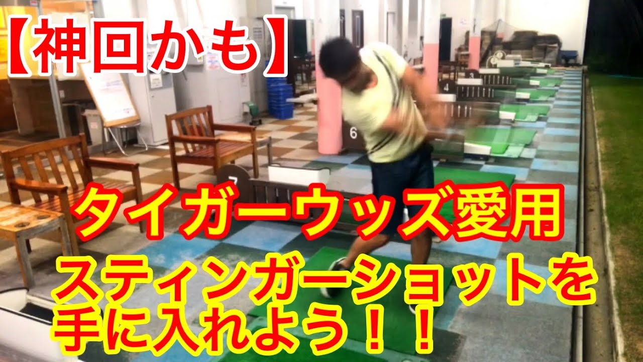 【神回かも】タイガーウッズがよく使っているスティンガーショットを打つ為のドリル【ゴルフレッスン】