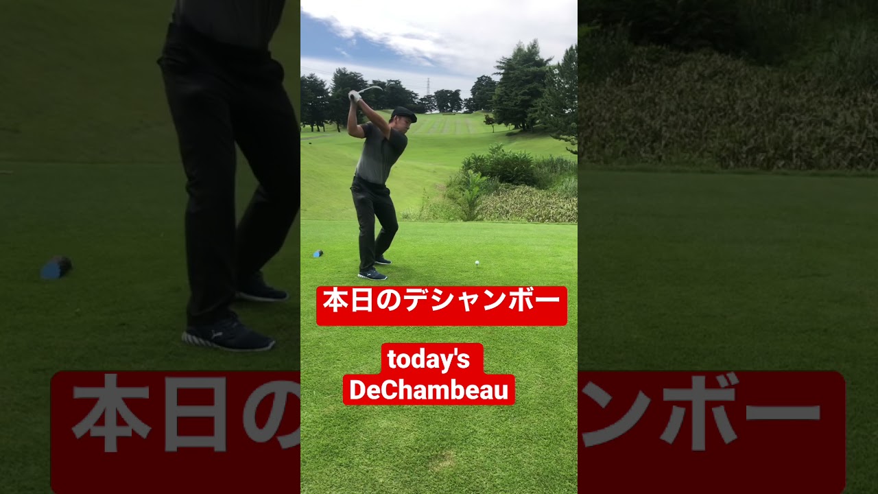 【デシャンボー】デシャンボーになる男のティーショット