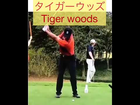 ゴルフのコツ⛳️タイガーウッズのグリップエンド軌道　川村洋介ゴルフレッスン