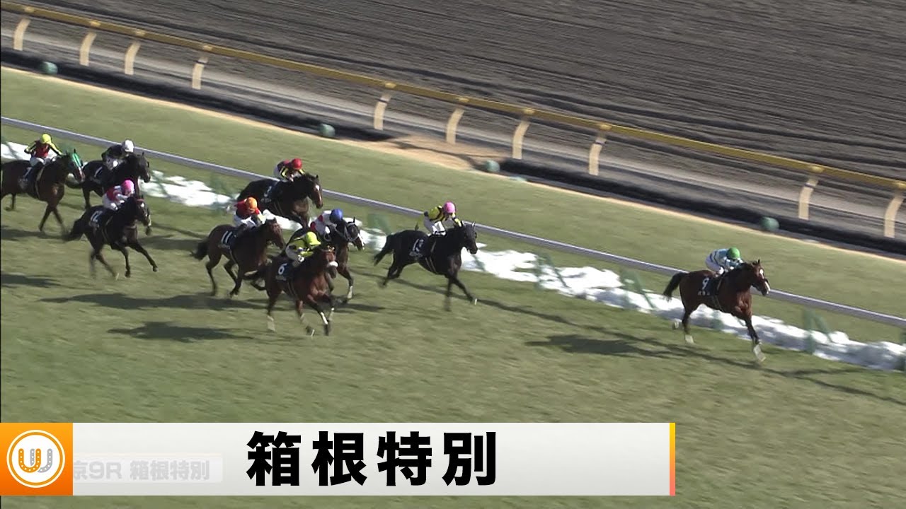 【2023】箱根特別 東京競馬場9R ｜ウイニング競馬 2023年2月11日（土）