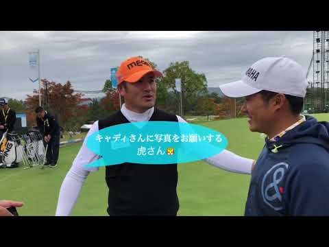 今日の今平さん+虎さん