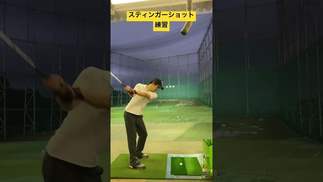 タイガーウッズ並みのスティンガー極める練習。#golf #ゴルフ #tigerwoods #タイガーウッズ #shorts